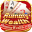 rummy 65 icon